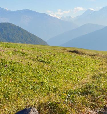 Wandern an den Waalwegen im Vinschgau Südtirol