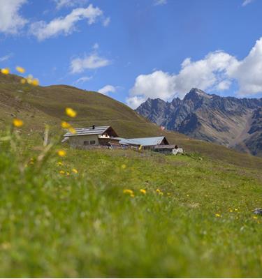 Malghe durante la vostra vacanza al Hotel escursionistico in Alto Adige - Hotel Watles in Val Venosta