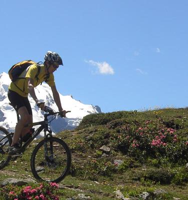 Emozionante tour in mountain bike in alta Val Venosta durante una vacanza in mountain bike in Alto Adige