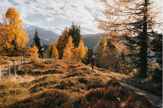 herbst4