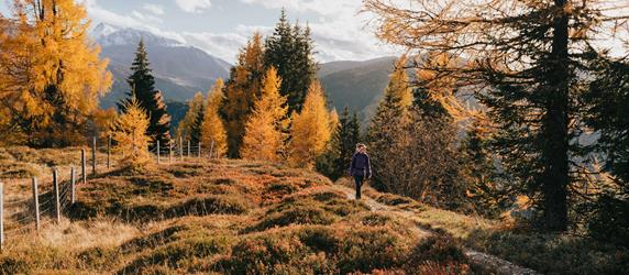 herbst4